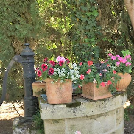 Beautiran Les Chambres D'Hotes Du Domaine Du Pacha מראה חיצוני תמונה